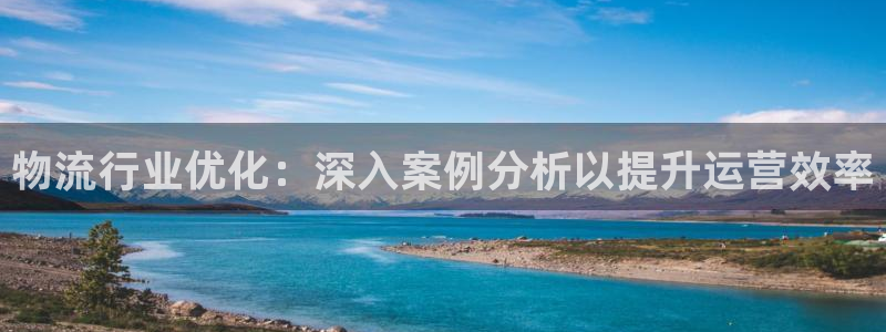 28圈官网平台下载：物流行业优化：深
