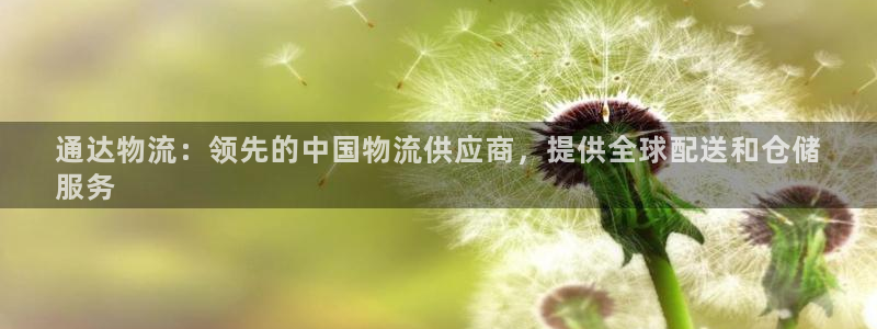 28圈链接多少：通达物流：领先的中国