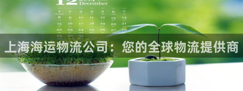 28圈注册账号：上海海运物流公司：您