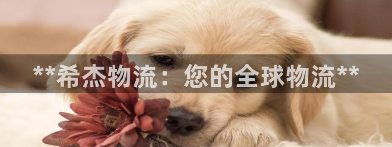 28圈怎么下载：**希杰物流：您的全