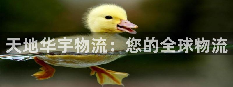 28圈反水怎么算