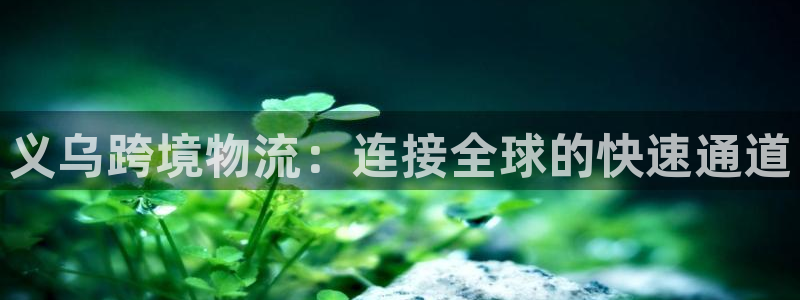 28圈加拿大技巧