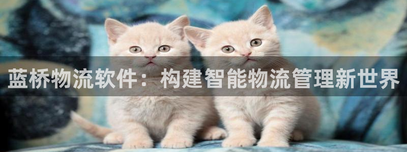 28圈娱乐官网网页下载