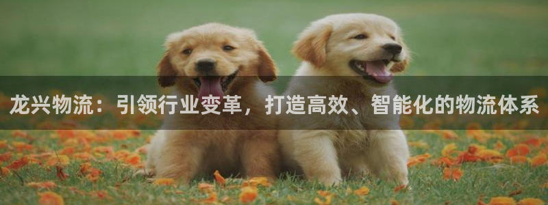 28圈怎么下载