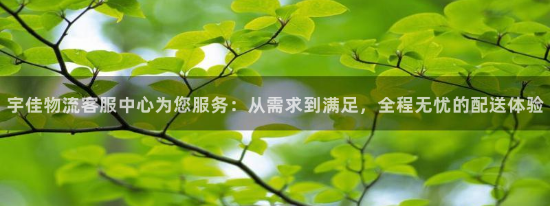 28圈怎么下载不了