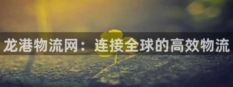 28圈分分28输了能不能退