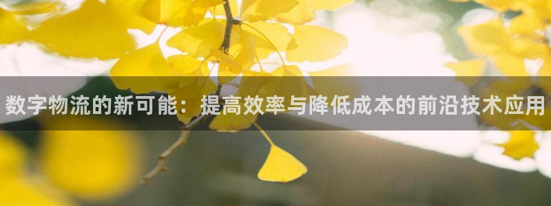 28圈代理落网：数字物流的新可能：提