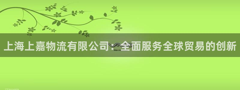 28圈下载二维码怎么弄：上海上嘉物流
