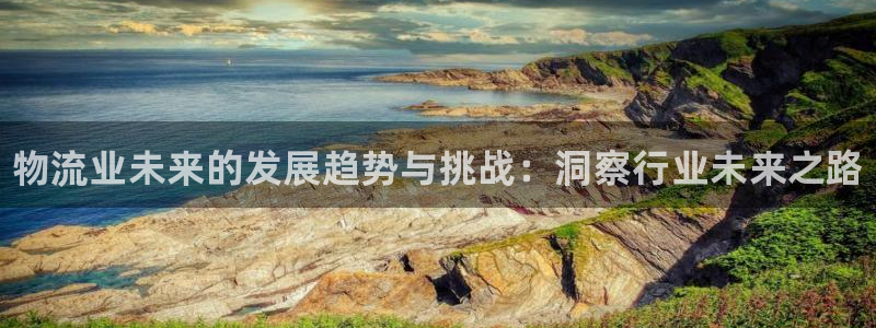 28圈注册链接教程：物流业未来的发展