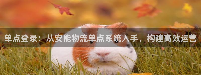 28圈吧：单点登录：从安能物流单点系
