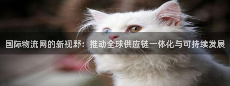 28圈麻将：国际物流网的新视野：推动全球供应链一体化与可持续