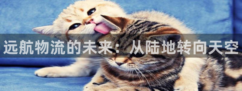 28圈南宫娱乐官网：远航物流的未来：