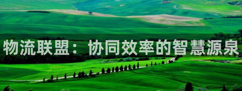 28圈龙虎：物流联盟：协同效率的智慧