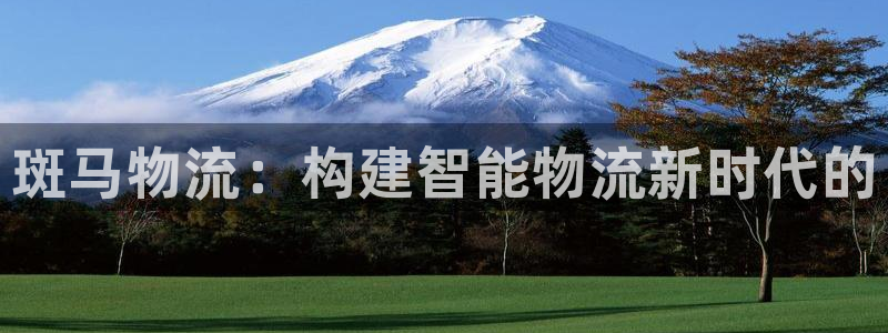 28圈怎么下载：斑马物流：构建智能物