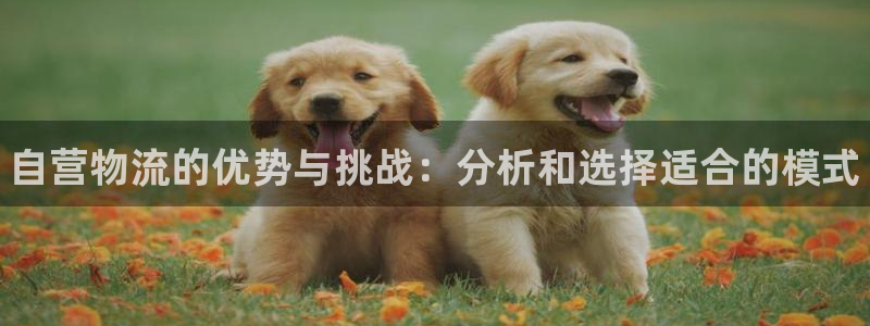 28圈pg如何退钱：自营物流的优势与挑战：分析和选择适合的模