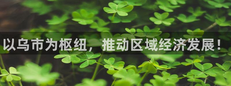 南宫28圈官网版：以乌市为枢纽，推动