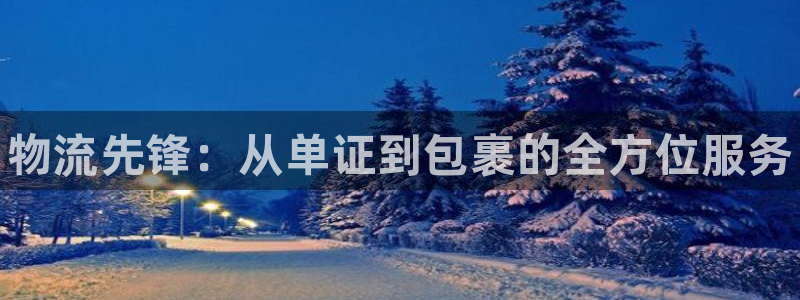 28圈网赌有什么风险：物流先锋：从单